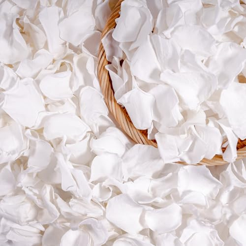 Petali di Rosa San Valentino per Lei,Rosa Eterna Proposta di Matrimonio Decorazione di Fidanzamento per Romanticismo,Decorazione di Nozze Anniversario Natale, Rose Bianche Idee Regalo Donna Compleanno