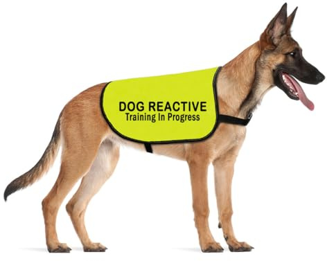 Reactive Dog Jacket - Dog Training Service Slogan Warning Vest (L EU)