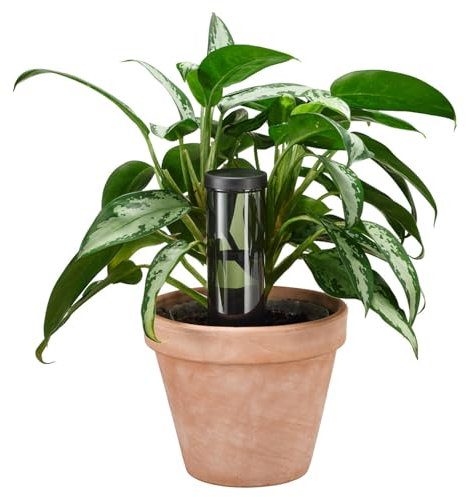 Fiskars Distributore d'Acqua per Piante, Urban Plant Care, Per Interni e Balconi, 350 ml, Fino a 5 Giorni di Irrigazione Continua, 6,4 x 25 cm, Ceramica/Plastica, Verde Scuro, 1075380