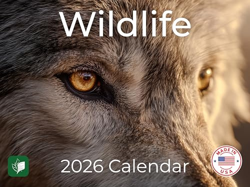 2026 Wildlife Wall Calendar – 12×18 Large Grid – Beautiful Animal & Nature Photography – Thick Paper, Eco-Friendly, Made in USA – Malona