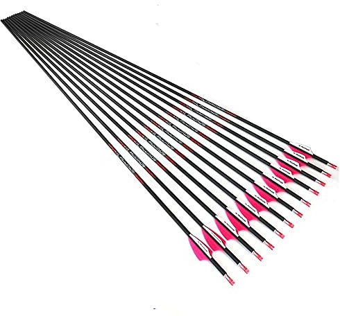 Spine 1000 Flèche 25 Pouces Flèche Flèches Carbone Flèche Cible Flèche de Chasse Arc à Poulies Arc Classique Adulte Jeunesse Tir à l’Arc Entraînement 12pcs
