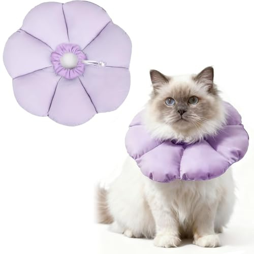 BUKYCAT Katthalsband för återhämtning, anti-slickande katthuvudskydd, kattens halskragge, för katt och kattunge förhindrar slickning av sår (lila, M)
