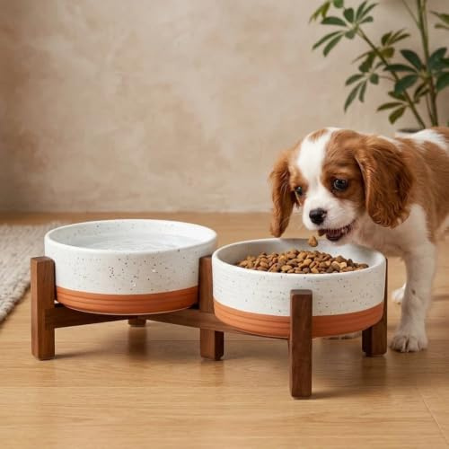 Pengrud Comedero Elevado para Gatos y Perros Pequeños, Doble Cuenco 400 ml