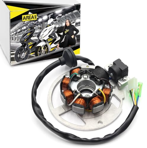 Area1 Ersatz Lichmaschine für Roller 50ccm China 2-Takt Motor. Kompatibel mit Benero Forstinger Longija Motobi Motowell KSR