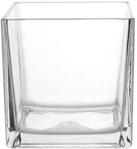 HOLIDYOYO Glasvase Eckig 6 Zoll Quadratisch Transparent Robust Für Hydroponische Pflanzen Wohnzimmer Büro Dekorative Blumenvase