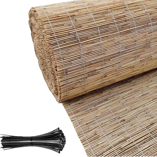 Tapis De Roseau Naturel 50 120 180cm Hoch, pour Bois Exterieur Clôture en Bambou Panneaux De Clôture en Roseaux Facile À Installer pour De L'ambiance Décoration De Fête(Ligne Blanche Primaire)