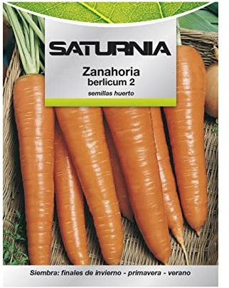 Semillas Huerto Zanahoria Berlicum