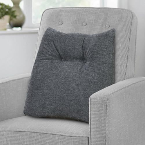 Shinnwa Lumbar Support Pillow for Office Chair, Soft Memory Foam Back Support Pillow for Recliner, Lower Back Pain Relief, Lumbar Cushion for Chair, Couch and Car, Charcoal
