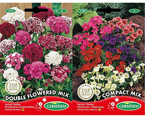 Germisem Bartnelken Semi 1 g & Compact Mix Semi di Petunia 0.2 g