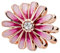 Feitery Gänseblümchen rosé-vergoldet Charms Armband Valentinstag Bead Charm für Damen
