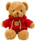 TROYSINC Teddybär Weiches Fell Teddybär mit Kapuze Tatzendruck Plüschtier Kuscheltier Stofftier Geschenk (Red,50cm)
