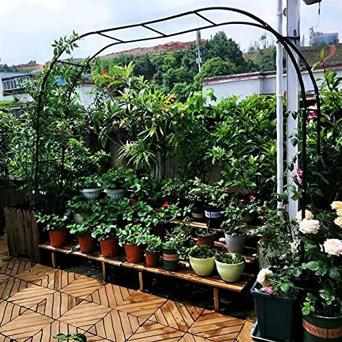 Arche Jardin pour Rosiers Plantes Grimpantes, Metal Arceau à Rosiers, Arche de Rosiers Vigne Mariage, Pergola Tonnelle de Jardin, Intérieur Extérieur Décoration de Fête,300x220x40CM