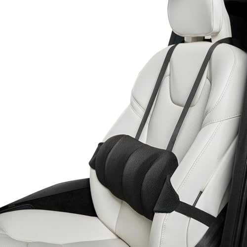 Fesatccoz Coussin Lombaire Voiture, Mousse à Mémoire de Forme avec Sangle Réglable, Coussin Dos pour Voiture, Chaise Bureau et Maison