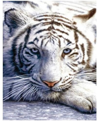Pittura diamanti quadrati 40x50cm square diamond painting adulto grandi tigre pietre quadrate fai da te colorare con i numeri mosaici bambini paint by diamonds soggiorno camera da letto ufficio parete