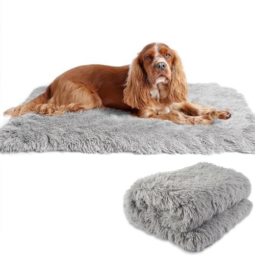 Fluffig hundfilt kattfilt – mjuk dubbelsidig plysch sällskapsdjur filt i fleece, varm gosig filt tvättbar, soffa skyddsfilt för hundar och katter