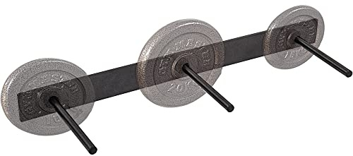 GYM MASTER Standard 1 Weight Plate Wall Mounted Storage Rack - Vertical or Horizontal - Single