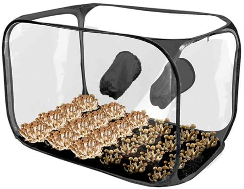 Kit De Tienda De Cultivo De Setas – Caja De Aire Fija Para Cultivo De Setas | Bolsas De Cultivo De Setas | Sala De Cultivo De Setas | Caja De Aire Fija De Champiñones | T