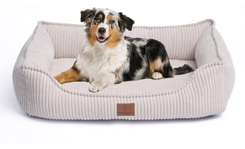 Warenhammer Orthopädisches Hundebett aus Cord, Waschbar, mit Wasserdichtem Innenbezug, für Große und Mittelgroße Hunde, Beige (M)