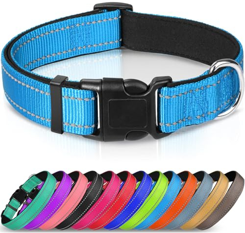 Joytale Halsband Hund, Gepolstertes Hundehalsband Breit aus Neopren Nylon Hundehalsband Verstellbar für Kleine Hunde, Weich und Reflektierend Hundehalsbänder, S, Blau