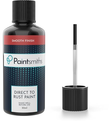 Paintsmiths Direct to Rust Metal Paint – Smooth Gloss Finish – Anti Rust – 30ml Bottle & Brush – All in One Paint ideal for Gates, Railings, Furniture, Radiators, Appliances – Indoor & Outdoor Use