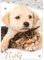 rainbowFUN.de Hund + Katze Wende-Bettwäsche-Set 135x200 / 80x80 Baumwolle Reißverschluss, Weiß, Beige, Grau