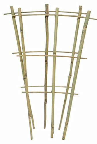 Natural Eco-Friendly Bamboo Cane Plant Pot Fan Trellis Outdoor Garden Planter Climbing Plant Support Frame Stake Stick Pole (1, 110cm)