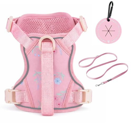 Petmolico No Pull Cute Dog Harness for Small Dogs, with Two Leash Clips and Soft Handle, Reflective Easy Walk Dog Harness- Light Pink,Small