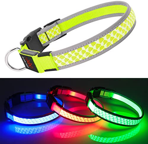 DQGHQME lysande hundhalsband USB-uppladdningsbart, vattentätt, LED-reflekterande storlek justerbar för små-/medium-/stora hundar - grön - S