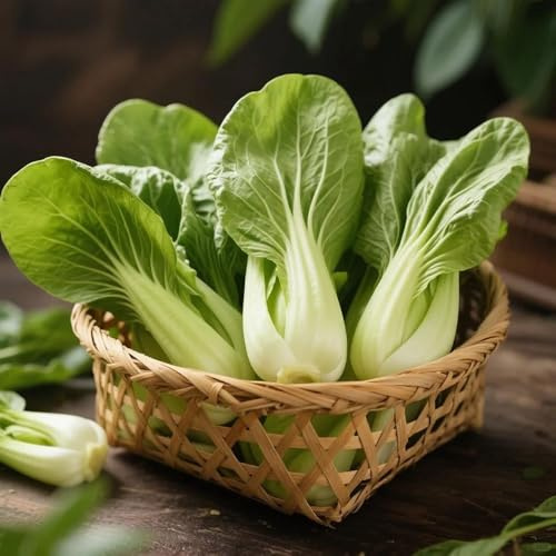 Semi di pak choi resistenti da giardino rocce resistenti per semi da giardino 450pcs