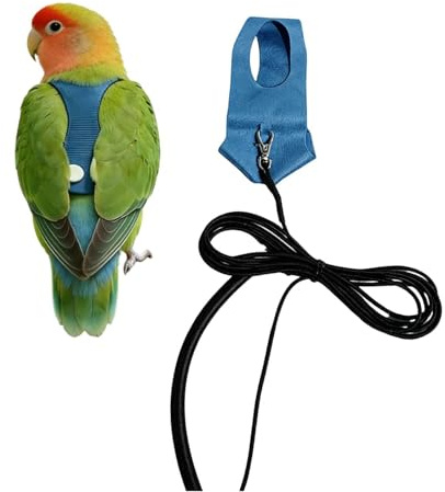 tiancaiyi Harnais Perroquet | Laisse D'Entraînement Calopsitte | Harnais de Promenade Conure - Propriétaires Dresseurs Promenades Jardin Parc Vétérinaire Plage Randonnée Pique-Nique Lieux Publics