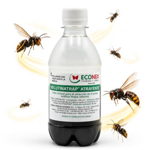 Líquido Atrayente de Avispas Velutina/Avispones/Asiática y Comunes 190 ml – para Exterior, Jardín, Huerto y Terraza, Duración hasta 60 Días | Nexum Market (Sólo Líquido Atrayente)