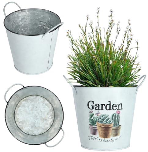 KADAX Pot de fleurs en métal style rétro pour orchidées, herbes, géraniums, pot de fleurs, pot de fleurs (diamètre 12 cm, avec poignées)