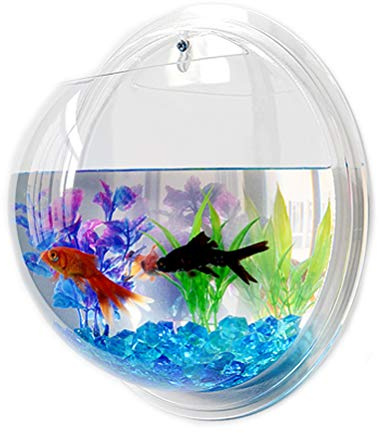 2PCS Wall Hanging Fish Tanks,Clear Acrylic Round Fish Tanks Flower Pot Vase,Hydroponic Air Plant Flower Pot,Acrylic Round Wall Mounted Hanging Fish Bowl Aquarium Tanks(Assorted Color)
