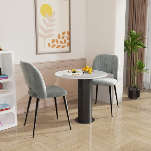 Chleby Set di 2 Sedia da Pranzo in Velluto Sedie da Cucina Sedie imbottite con schienale gambe in metallo per Sala da pranzo, Soggiorno Cucina Grigio Tortora