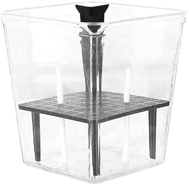 Macetas con riego automático - Maceta transparente | Macetas visibles para interiores, hogar decorativo, florero, macetero transparente con autorriego, orificios de ventilación, planta araña, vainilla