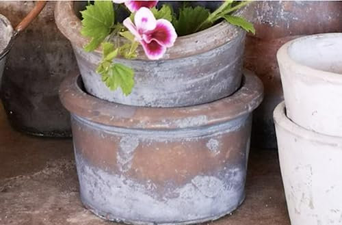 Vintage Crocus Bowl - Weathered Terracotta Plant Pot - Aged Grey Stone Rustic Pot - Weathered Small Planter - Seeds Bulb Crocus Pot Planter