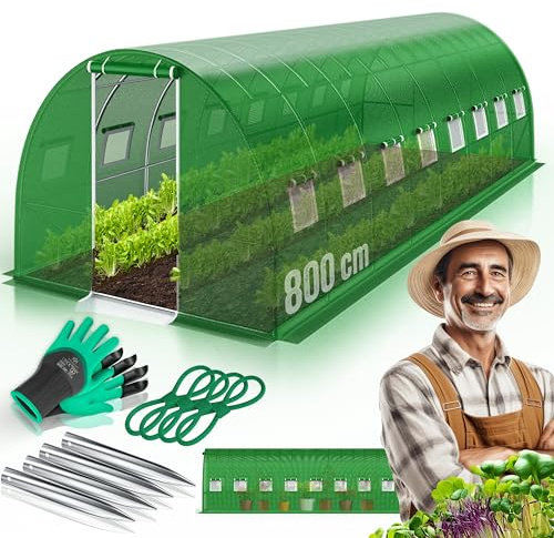 KESSER Serre stable avec 16 fenêtres avec moustiquaire et porte, tunnel de jardin avec cadre en acier galvanisé, 170 g/m², avec gants et cordes, 800 x 200 x 300 cm, vert