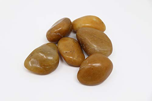 Polierte Kieselsteine Dekosteine Gelb 20kg von Aquagart I Glanzkies 30-50mm Große Kieselsteine Flusskiesel Deko-Steine für Garten I Gartenteich Steine Teichkies Zierkies Gartenkies Ziersteine