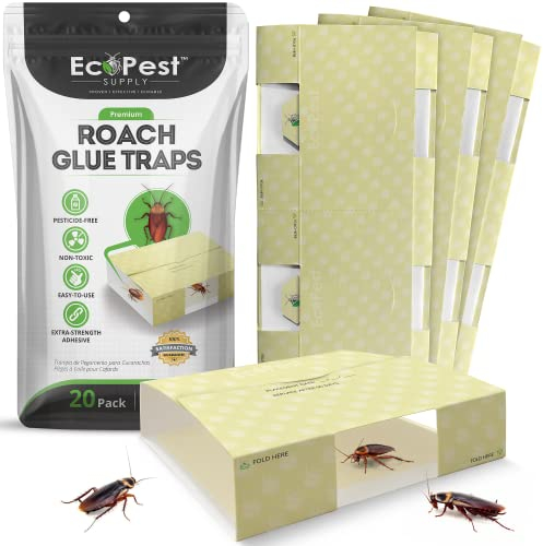 Roach Trap – 20 Pack | Sticky Indoor Glue Traps for Roaches and Other Bugs and Crawling Insects | Adhesive Cockroach Motel, Bait Trap, Monitor, Killer and Detector for Pest Control