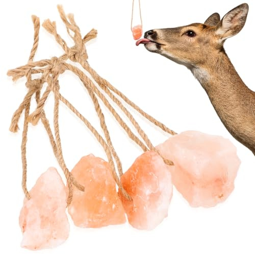 CRAFTHROU Blocco di Sale Naturale per Cavalli e Capre, Confezione da 4 Pezzi (30-50 G), Ricco di Minerali, per Bestiame e Animali da Pascolo