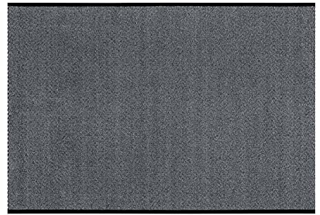 andiamo Schmutzfangmatte Easy Teppichläufer für den Hauseingang - Einsetzbar im Flur als Türmatte oder Läufer Hellgrau 120 x 200 cm