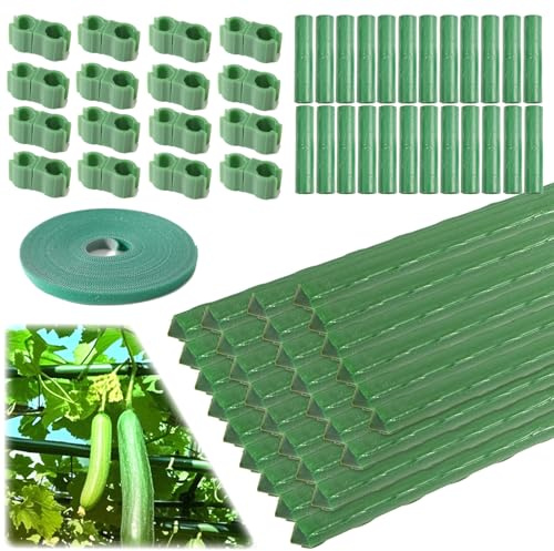 30 Pack Garden Plant Stakes Set – 43cm Plastic-Coated Steel Canes with 25 Connectors 15 Buckle Connectors & 1 Ties, Plant Support for Veg & Flowers