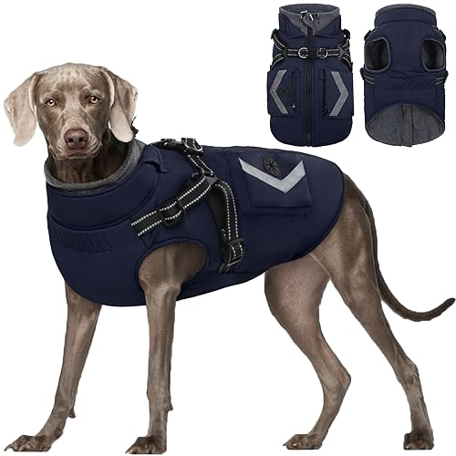 Kuoser Hundemantel,Hundemantel Für Kleine Hunde, Wasserdicht Hundemantel Winter, Hundejacke, Hundemantel Grosse Hunde, Hundemantel Mit Geschirr Blau XL