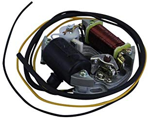 Hercules Puch Lichtmaschine Zündung 6 Volt 17 Watt kompatibel mit Prima 2 3 4 5 S M Mofa Moped