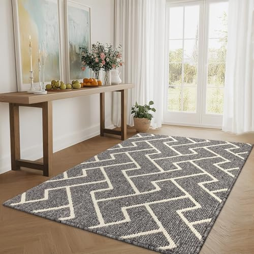 Biscpro Dörrmatta inomhus entrématta utomhus vattentät, halkfri, absorberande, matta för entré, tvättbar, kök, badrum (grå, 90 x 150 cm)
