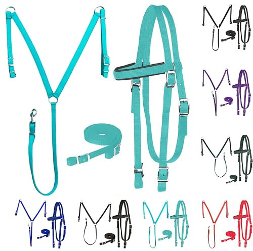Majestic Ally Nylon Padded Equestrian Browband Headstall, Reins & BreastCollar Set for Horse- Full (Turquoise, Full)