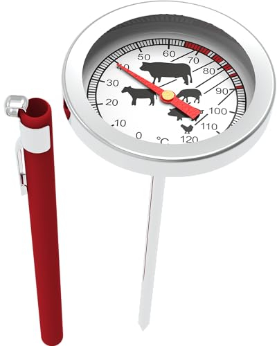 BROWIN® Termometro analogico per arrosti con custodia 100600 | 0-120 °C | Termometro da giardino in acciaio inox | termometro per carne per forno, barbecue e barbecue | termometro per carne