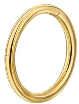 Lantine näspiercing ring gångjärn 316L kirurgiskt stål segmentring clicker 20G 18G 16G septum brosk Nostril Helix Tragus Rook Conch Piercing 6 mm 7 mm 8 mm 9 mm 10 mm guld stålfärg roséguld svart,