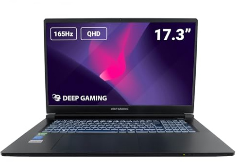 DeepGaming Nubian Pro 17 - Ordenador Portátil Gaming 17.3 QHD 165Hz (Intel Core 7-250H, 64GB RAM DDR5, 2TB SSD + 2TB SSD, Nvidia RTX 5060 8GB, Windows 11 Pro) Negro - Teclado QWERTY Español