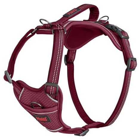 Halti Anatomy Dog Harness with Handle - Provides Your Dog Freedom of Movement for Comfortable Walking. 3 Lead Attachment Points, Neoprene Padded, Adjustable, and Reflective (Size Small, Magenta)